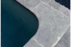 Terato Buitenhoek Asian Blue Afgeronde Neus -Zwembad Verkoopwinkel terato buitenhoek asian blue afgeronde neus 3